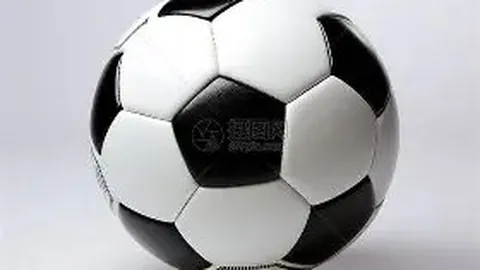 林瑞阳张庭旗下企业因涉嫌传销遭调查引关注，官方声明回应热议