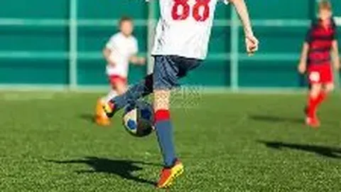 开宝体育 资讯 093609 flu