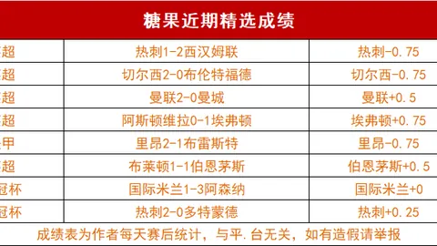 “斯卢茨基获资深记者好评，申花引热议，球迷评价分歧”
