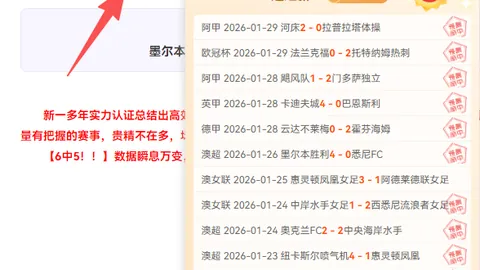 激情对决！纽卡斯尔联VS阿斯顿维拉，现场比分揭秘，谁将登顶英超巅峰？